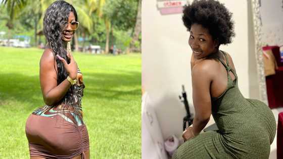 Abena Cilla: Young Ghanaian photogenic returns with 3 teasing photos; fans shout