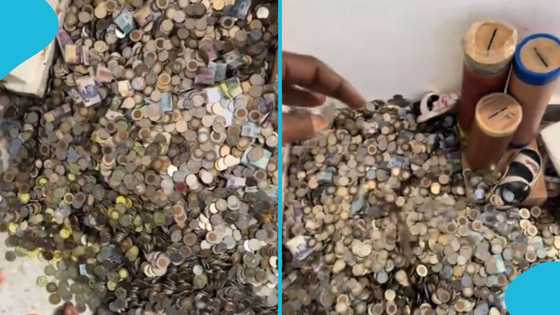 Ghanaian man opens susu boxes, flaunts entire savings: “Some save dollars, others cedis”