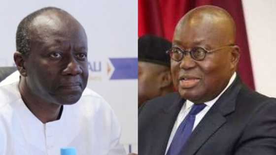 Ofori-Atta to provide details about Akufo-Addo's rented private jet in two weeks
