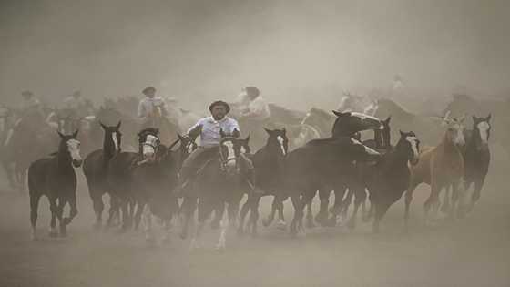 Horseman and hero: Who is Argentina's 21st century gaucho?