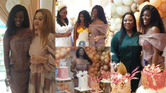 8 beautiful videos drop as Confidence Haugen holds 48th birthday party with Nadia, Efya, Zynnell Zuh, Obofowaa, other female stars