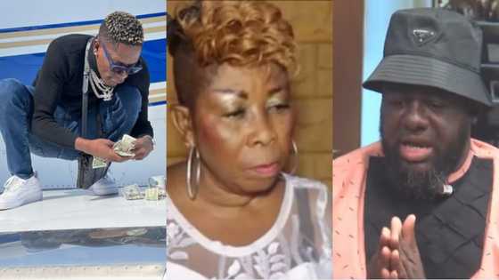 'Stop talking in public - Bulldog begs Shatta Wale's mom after she was evicted from her house