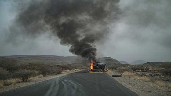 WHO urges 'immediate' food, medical aid for Tigray