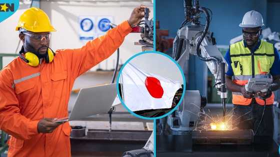 Japan opens 20,000 visa slots for 1 category of foreign workers
