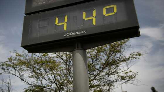 Western Europe wilts under heatwave