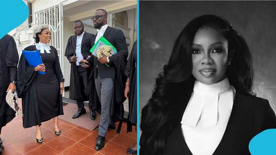 Serwaa Amihere causes stir as she announces latest career achievement, Ghanaians react