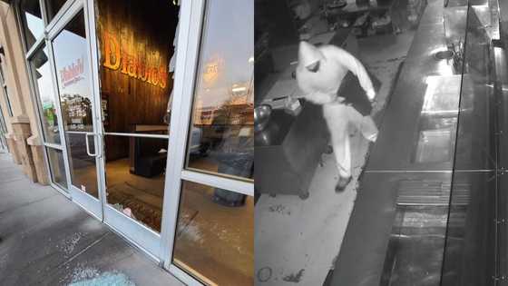 Kind heart: Business owner offers job to man who attempted to rob his restaurant