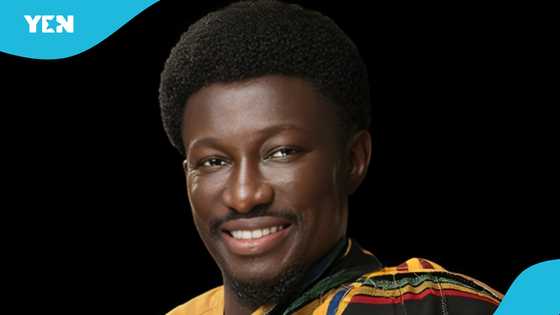 Forestry Commission drags Cheddar to court demanding tigers' forfeiture due to alleged illegal import