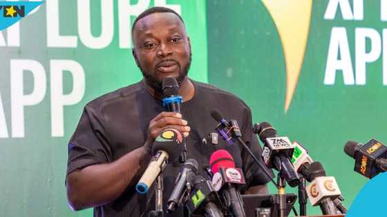 Ghana's youth unemployment rate hits 1.3 million: "It's a national security threat"