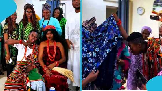 Peller and Javis ties the knot in a private traditional marriage, video causes stir