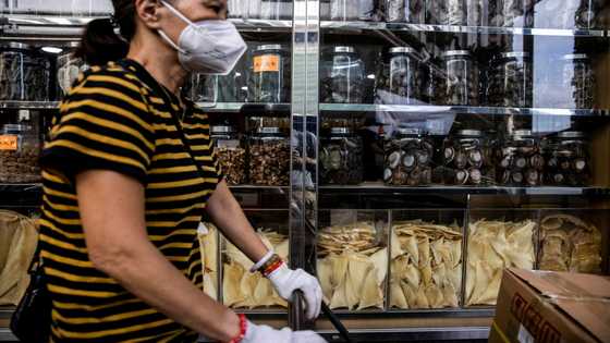 Wildlife summit could upend Hong Kong's shark fin trade