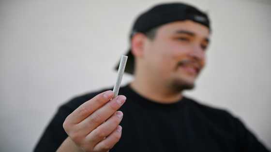 California's cannabis black market thrives despite legalization