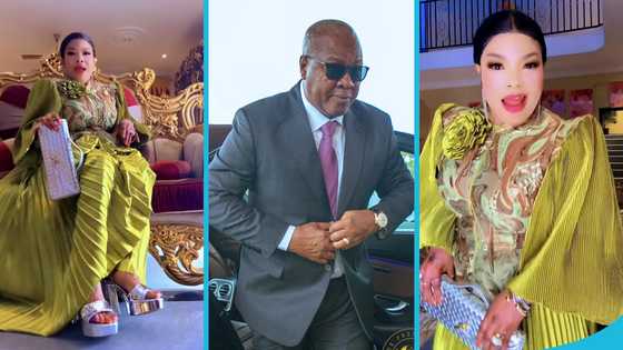 "I'll go home with Ghana Must Go full of cash the day I meet Mahama": Agradaa declares