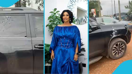 Leadership dispute, private security and all details of Adwoa Safo shooting incident