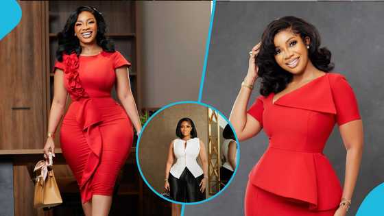 Serwaa Amihere looks effortlessly chin in a stylish blazer and pleated pants