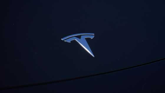 Tesla posts disappointing deliveries for 2022