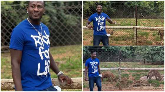 Asamoah Gyan visits the zoo, shares pictures of him smiling beside hyenas in a fenced cage