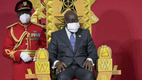 President Akufo-Addo is absolutely committed to fighting galamsey - Lands Minister-designate