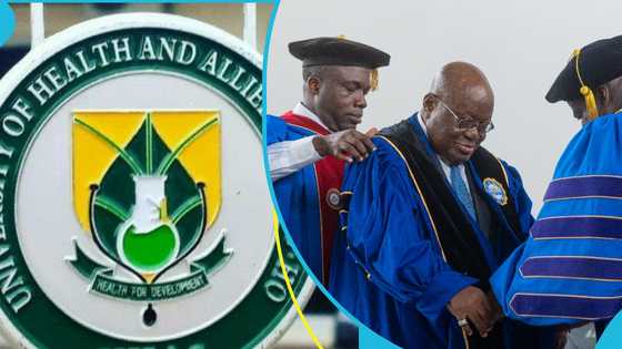 "It's unacceptable": NDC Volta Youth push against doctorate degree conferment on Akufo-Addo by UHAS