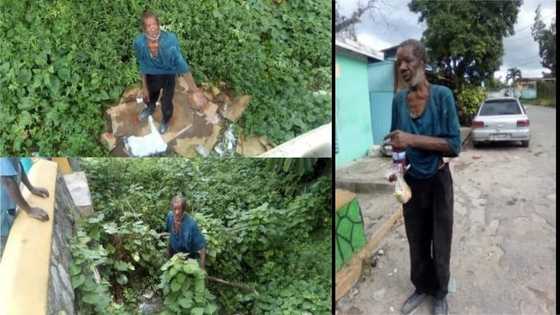 Former bank employee now homeless; begging on streets to survive