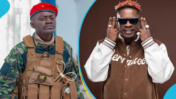 Shatta Wale humbles himself as Lil Win insults and blasts him in an interview for not promoting his movies