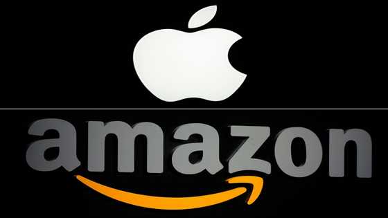 Spain hits Apple, Amazon with 194-mn-euro antitrust fine