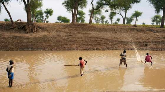 1.4 million children malnourished in South Sudan: charity