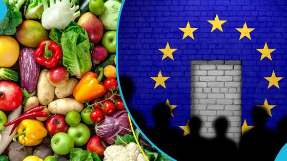 VEPEAG warns Ghana risks $50 million vegetable exports EU ban because of galamsey