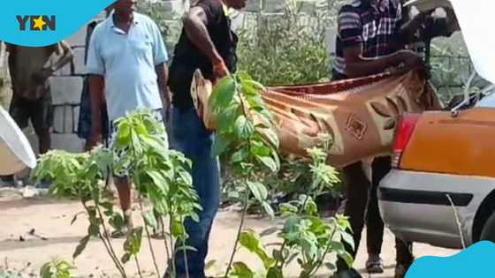 Mobile money vendor takes his own life, drinks poison because of massive debt