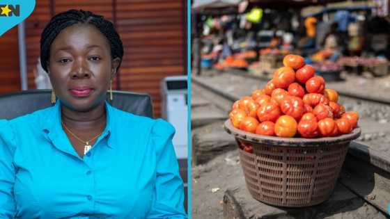 Burkina Faso lifts ban on tomato export to neighbouring Ghana