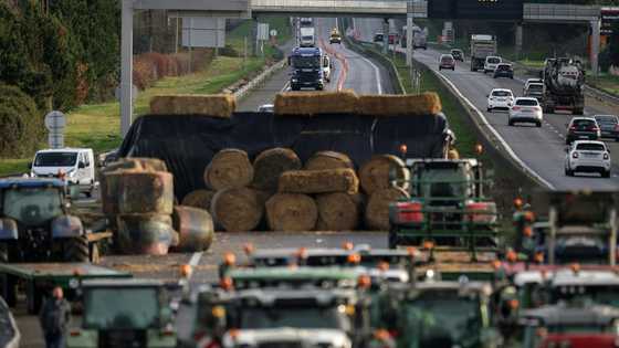 French minister urges angry farmers to trust cow culls, vaccines