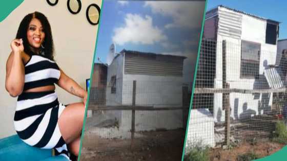Lady leaves cement blocks, builds 1 room with roofing sheets, celebrates her achievement