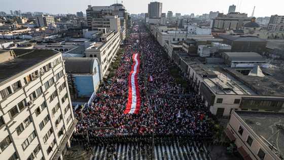 Thousands march in Peru calling for president's removal