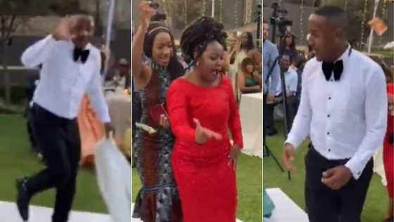 Social media divided on viral video of wedding, money flying around