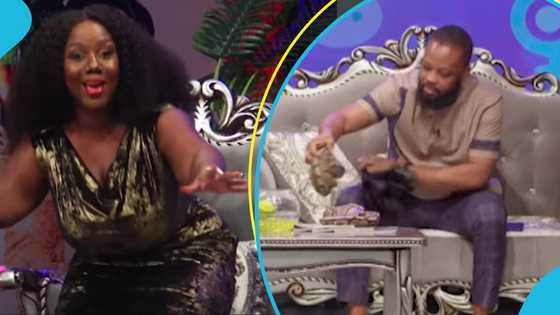 Miss Nancy flees from Confession studio as man brings 2 live snakes to prove they're not harmful