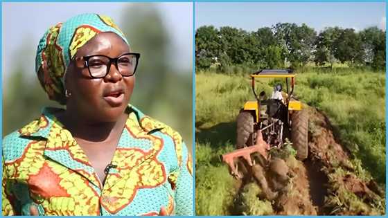 AMAATI Limited: Mastercard Foundation supports company to empower women through Fonio farming in Tamale