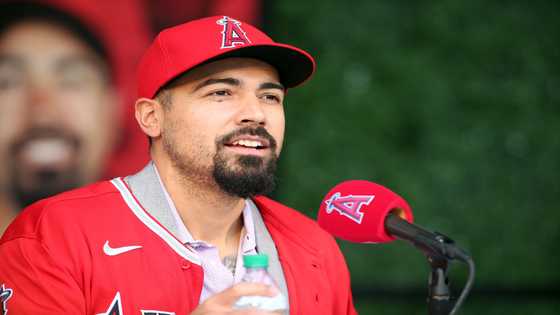 Anthony Rendon ethnic background, nationality, parents, hispanic roots