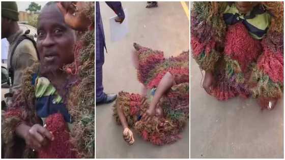 Masquerade wows many as he takes off mask & rolls on floor like a baby while asking for money