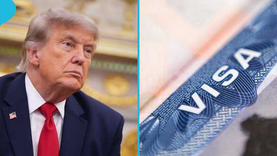 US Congress members introduce bill to protect the Diversity Visa (DV) programme