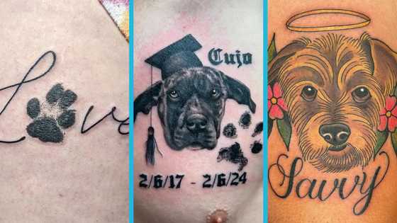 15 heartfelt dog pet memorial tattoo ideas to honour your furry friend