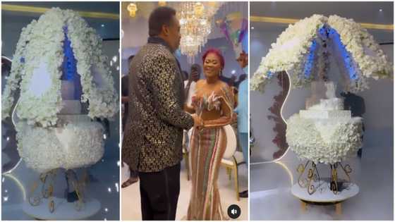 It's gorgeous: Video of couple's unique umbrella-themed cake designed on wheels blows minds