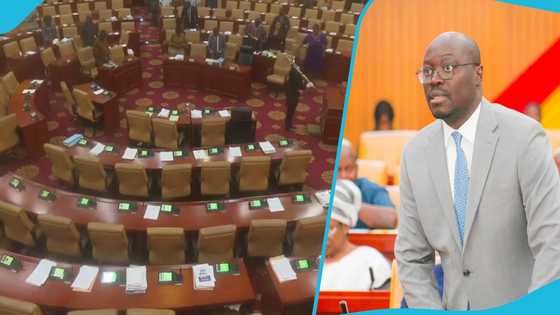 Parliament disrupted: Minority boycotts proceedings in support of Gyakye Quayson, Ato Forson