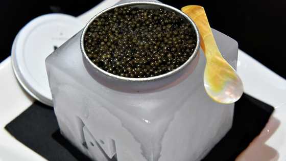 Elitist no more, caviar is turning casual