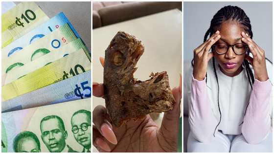 Ghanaians react massively as lady shows single fish head she purchased for GH₵14