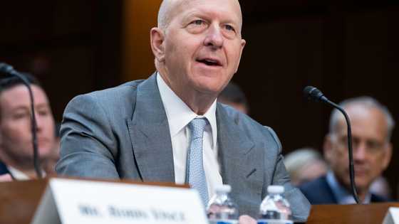 Goldman Sachs profits rise on strong equity trading results