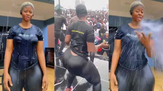 Sheena Gakpe gives sultry waist dance moves with Black Sherif's Kwaku The Traveller, her back rotation in video wows many