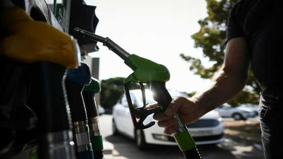 OPEC+ slated to increase oil output in bid to regain market share