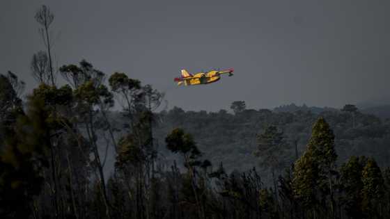 Portugal fires contained, situation remains 'serious'
