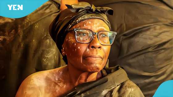 Nana Ama Bonsu officially becomes 15th Asantehemaa, takes stool name Nana Yaa Akyaa II
