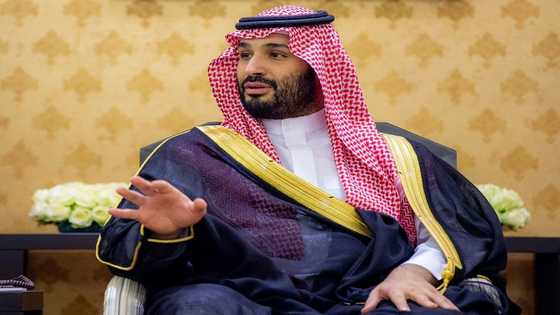 Critics fear Saudi prince seeks legal cover with PM title